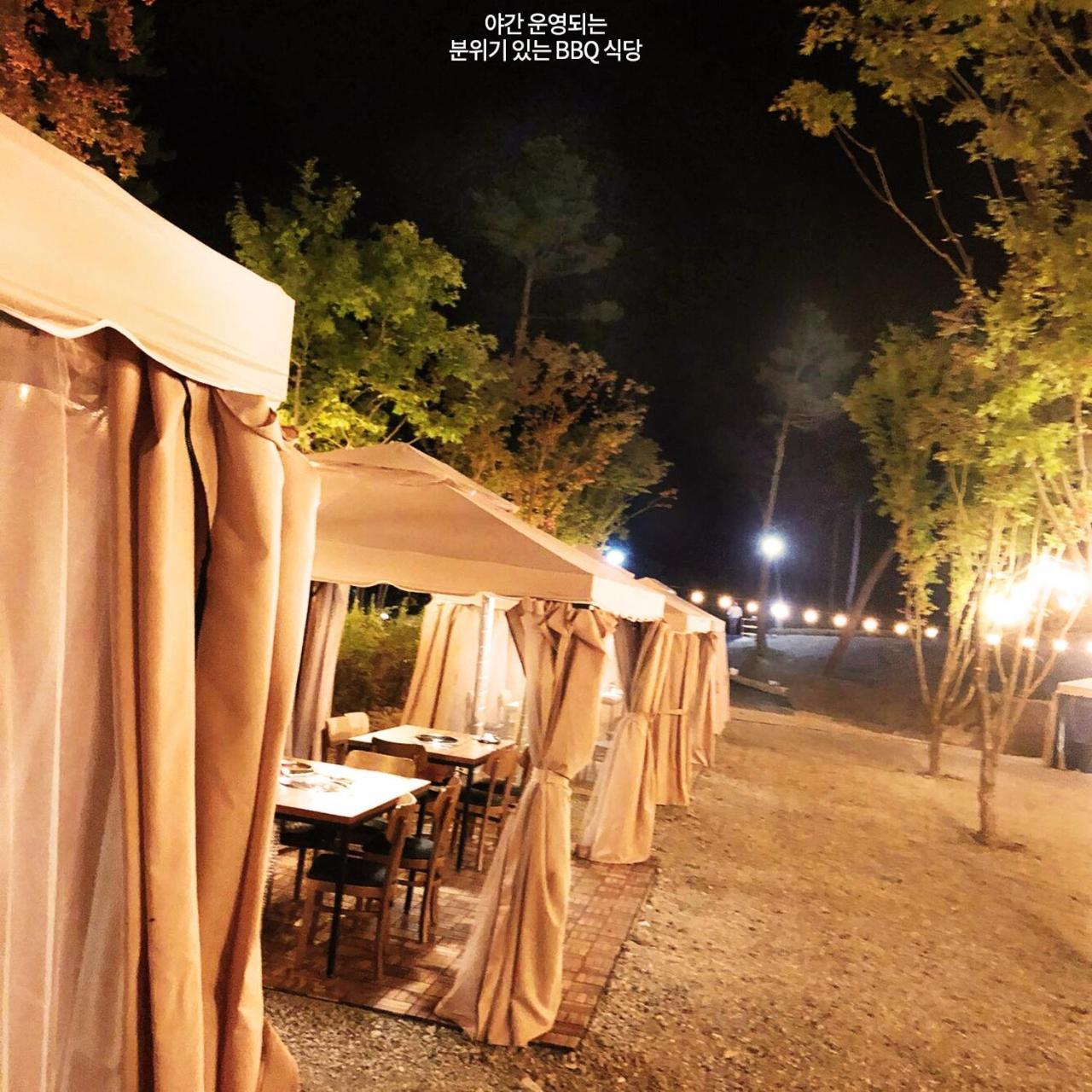 Pine Forest Jeongseon Alpine Resort Exterior photo