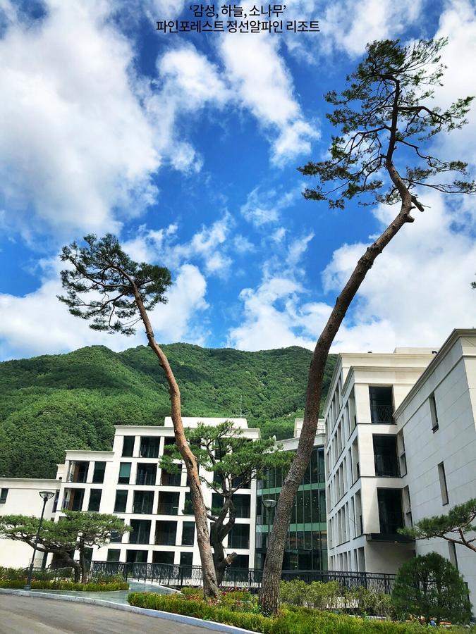 Pine Forest Jeongseon Alpine Resort Exterior photo